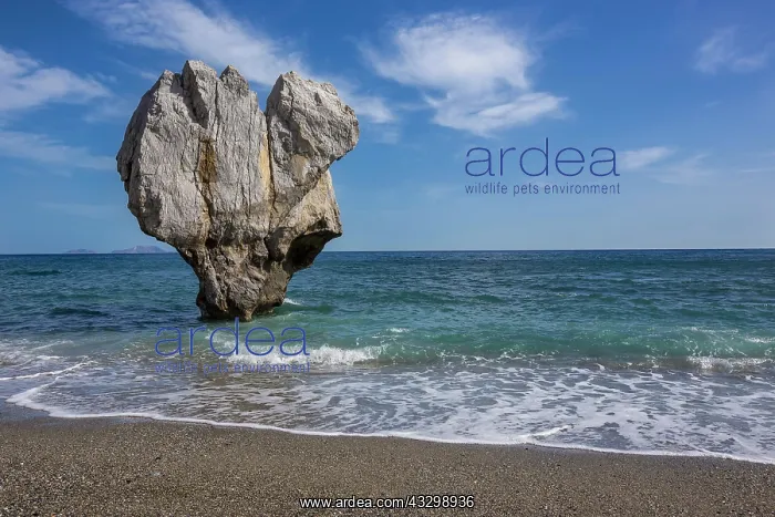 : Rock in heart shape in the sea, Preveli Beach, Agios : Rock in heart shape in the sea, Preveli Beach, Agios
