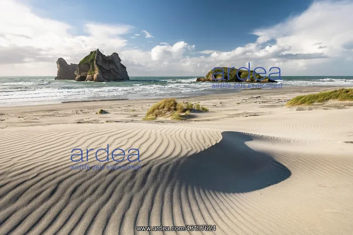 : Rock island on Wharariki beach, Wharariki Beach : Rock island on Wharariki beach, Wharariki Beach