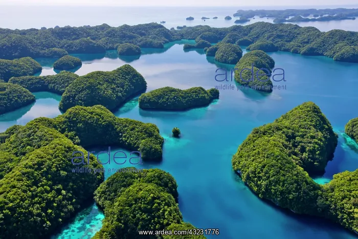 : Rock Islands, Palau : Rock Islands, Palau