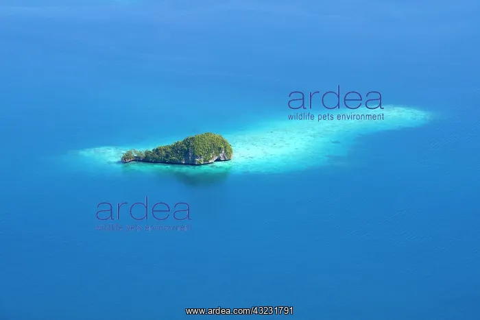 : Rock Islands, Palau : Rock Islands, Palau