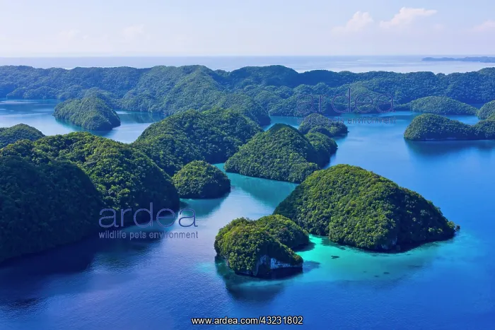 : Rock Islands, Palau : Rock Islands, Palau