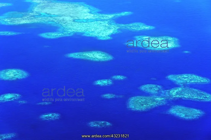 : Rock Islands, Palau : Rock Islands, Palau