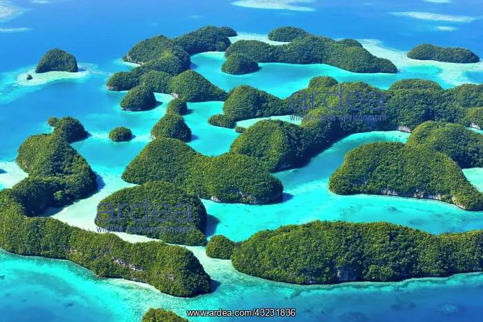 : Rock Islands, Palau : Rock Islands, Palau