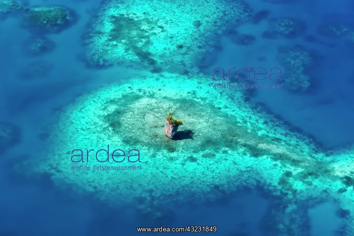 : Rock Islands, Palau : Rock Islands, Palau
