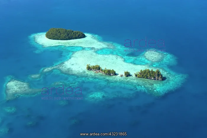 : Rock Islands, Palau : Rock Islands, Palau