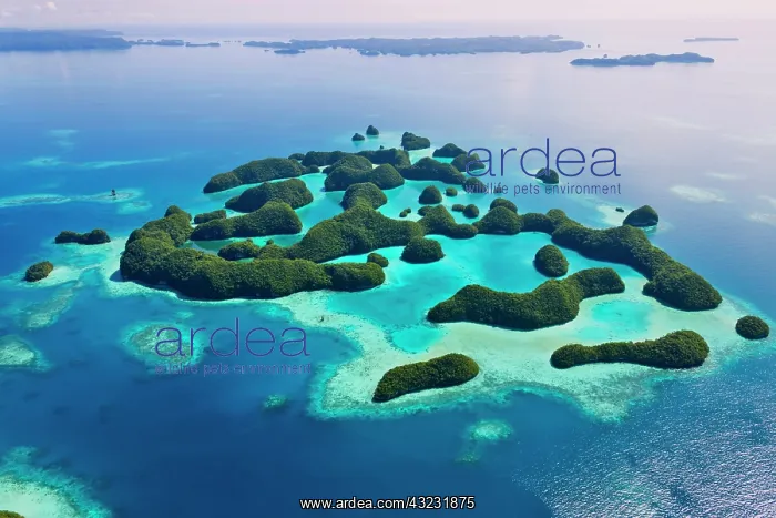 : Rock Islands, Palau : Rock Islands, Palau