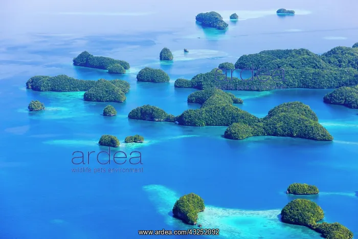 : Rock Islands, Palau : Rock Islands, Palau