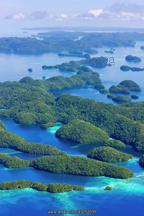 : Rock Islands, Palau : Rock Islands, Palau