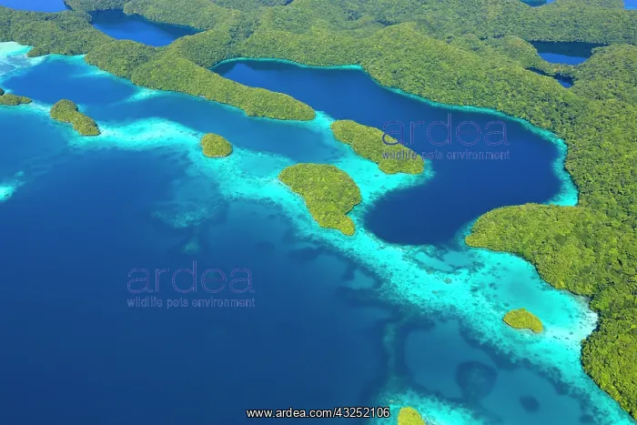 : Rock Islands, Palau : Rock Islands, Palau