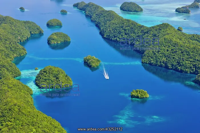 : Rock Islands, Palau : Rock Islands, Palau
