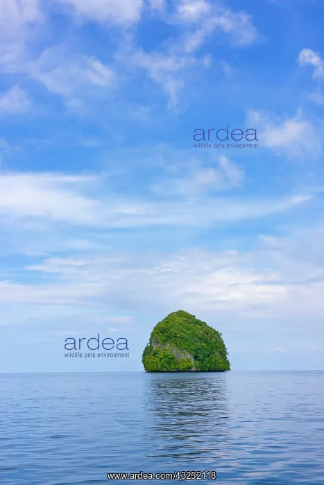 : Rock Islands, Palau : Rock Islands, Palau