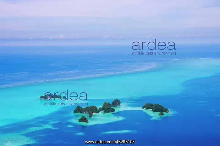  : Rock Islands, Palau