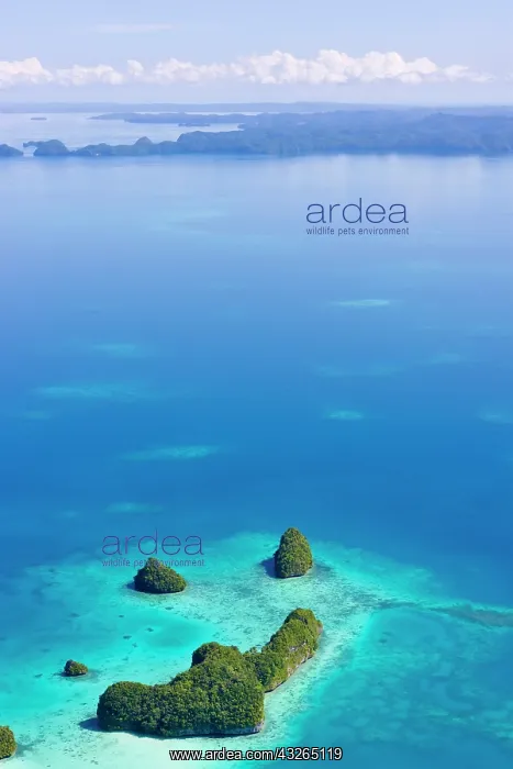 : Rock Islands, Palau : Rock Islands, Palau