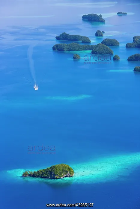 : Rock Islands, Palau : Rock Islands, Palau