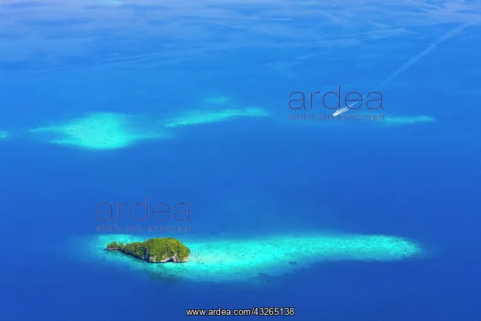 : Rock Islands, Palau : Rock Islands, Palau