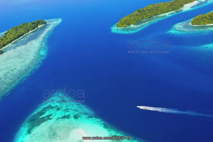 : Rock Islands, Palau : Rock Islands, Palau