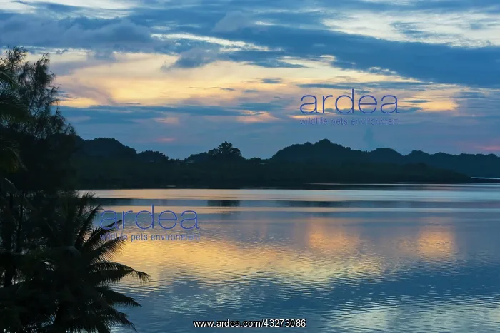 : Rock Islands, Palau : Rock Islands, Palau