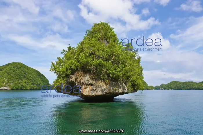 : Rock Islands, Palau, Micronesia : Rock Islands, Palau, Micronesia