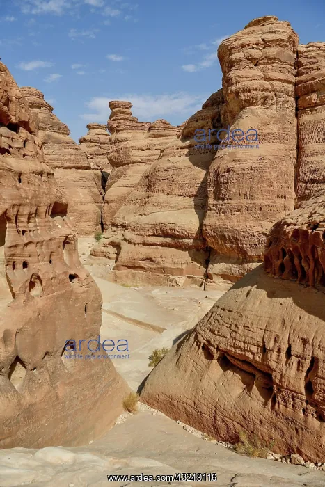  : Rock landscape at Jabal Ithlib, Hegra or Madain