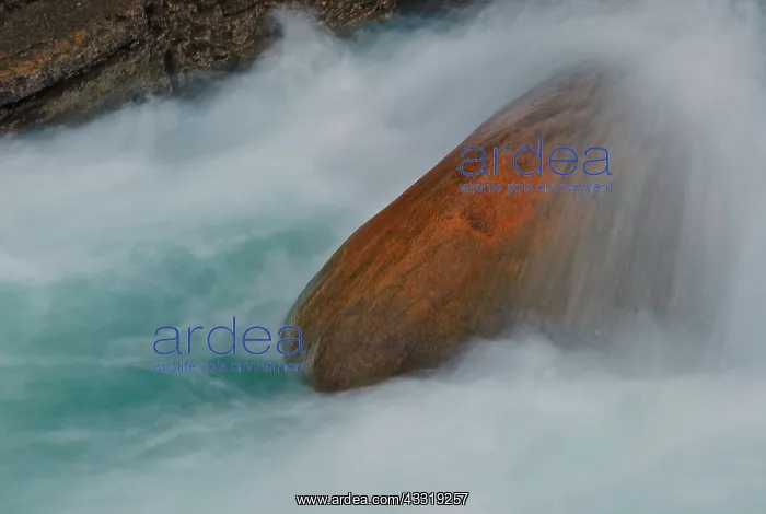 : Rock in Mistaya River : Rock in Mistaya River