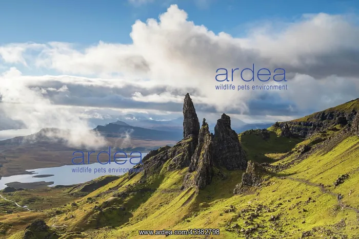 : Rock Needle Old Man of Storr, Trotternish Penins : Rock Needle Old Man of Storr, Trotternish Penins