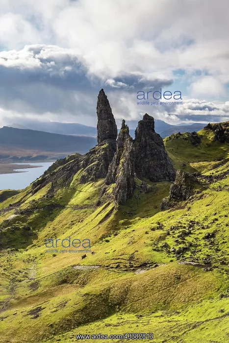 : Rock Needle Old Man of Storr, Trotternish Penins : Rock Needle Old Man of Storr, Trotternish Penins