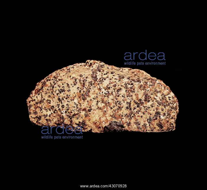 : Rock Under Ordinary Light : Rock Under Ordinary Light