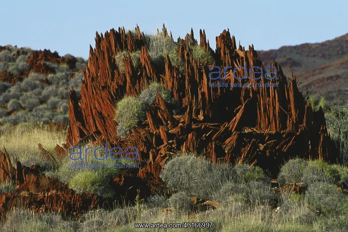 : Rock Outcrop and Spinifex : Rock Outcrop and Spinifex