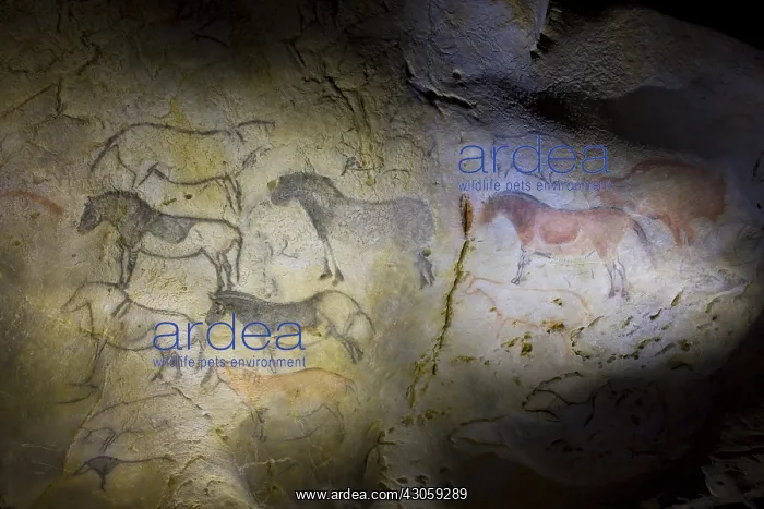 : Rock painting in the cave of Ekain in Cestona Spain : Rock painting in the cave of Ekain in Cestona Spain