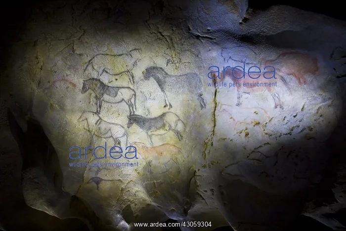 : Rock painting in the cave of Ekain in Cestona Spain : Rock painting in the cave of Ekain in Cestona Spain