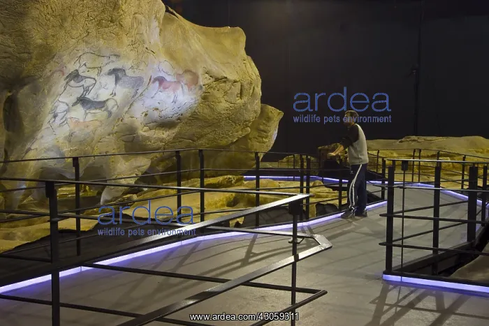  : Rock painting in the cave of Ekain in Cestona Spain