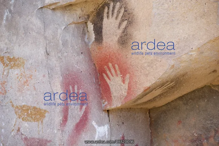 : Rock paintings in Cave of the Hands near Perito Moreno in Ar : Rock paintings in Cave of the Hands near Perito Moreno in Ar