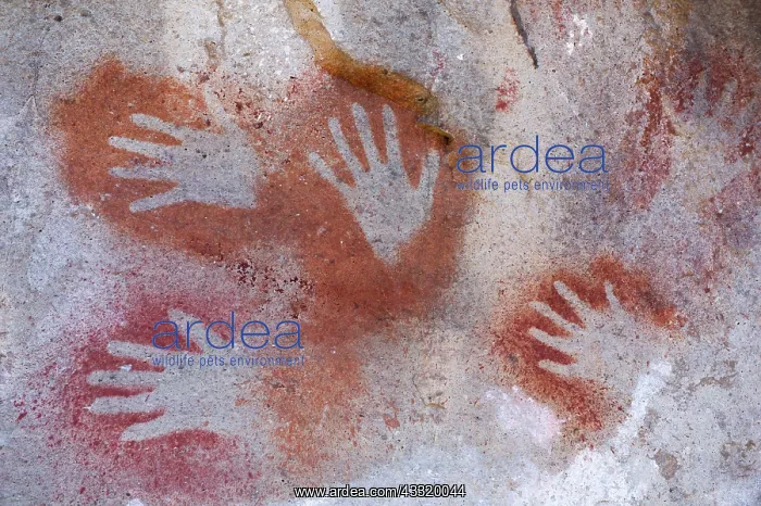 : Rock paintings in Cave of the Hands near Perito Moreno in Ar : Rock paintings in Cave of the Hands near Perito Moreno in Ar