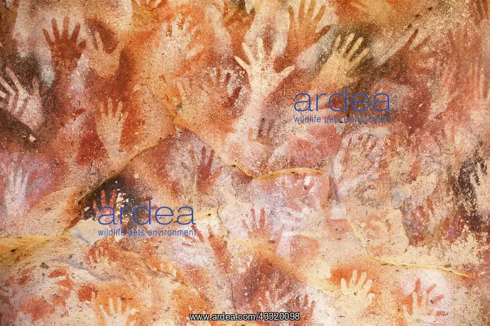 : Rock paintings in Cave of the Hands near Perito Moreno in Ar : Rock paintings in Cave of the Hands near Perito Moreno in Ar