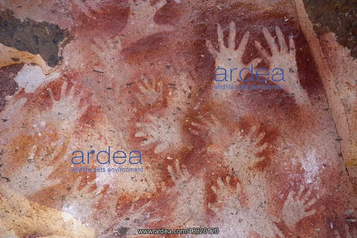 : Rock paintings in Cave of the Hands near Perito Moreno in Ar : Rock paintings in Cave of the Hands near Perito Moreno in Ar