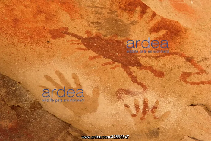 : Rock Paintings - in the shape of hands created : Rock Paintings - in the shape of hands created