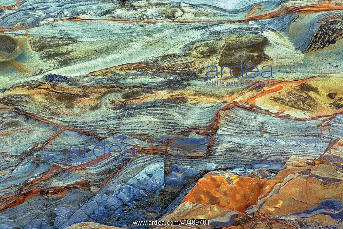  : Rock pattern in eroded coastline, Shore Acres State