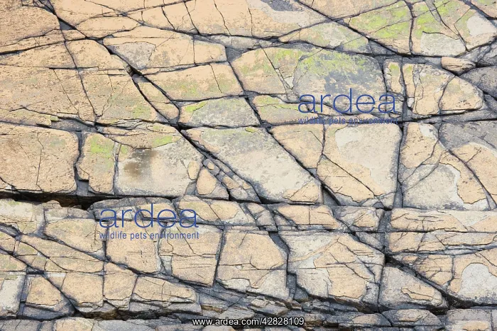: Rock Patterns : Rock Patterns