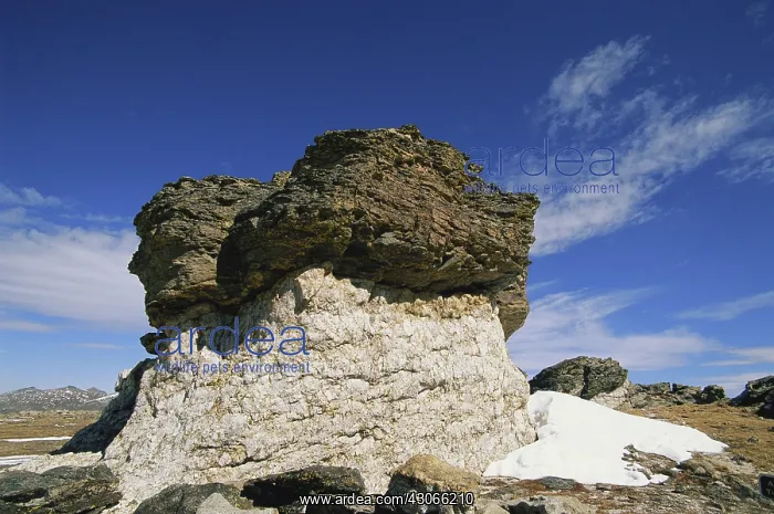 : Rock Pedestal in Colorado : Rock Pedestal in Colorado