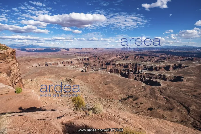 : Rock plateau with a view of the canyons : Rock plateau with a view of the canyons