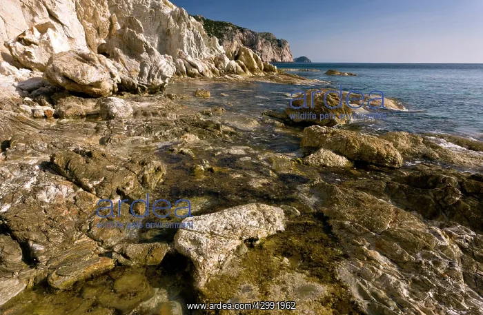 : Rock-pools - in the Aegean Sea at Vroulidhia Bay : Rock-pools - in the Aegean Sea at Vroulidhia Bay