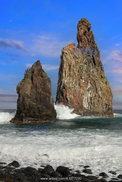 : Rock, rock needle, Ilheus da Rib, Ribeira da Janela : Rock, rock needle, Ilheus da Rib, Ribeira da Janela