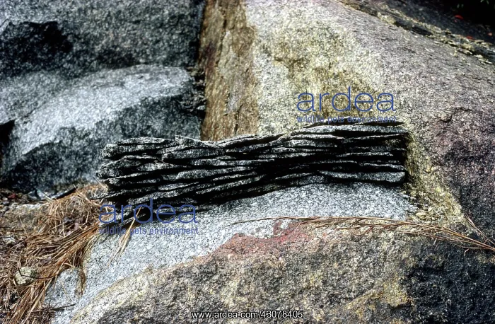 : Rock split by heating and cooling : Rock split by heating and cooling