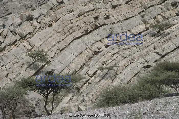 : Rock Strata, United Arab Emirates : Rock Strata, United Arab Emirates