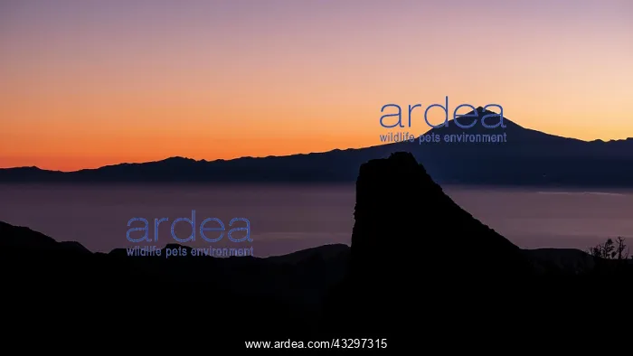 : Rock tower Los Roques at sunrise, view to the volcano : Rock tower Los Roques at sunrise, view to the volcano