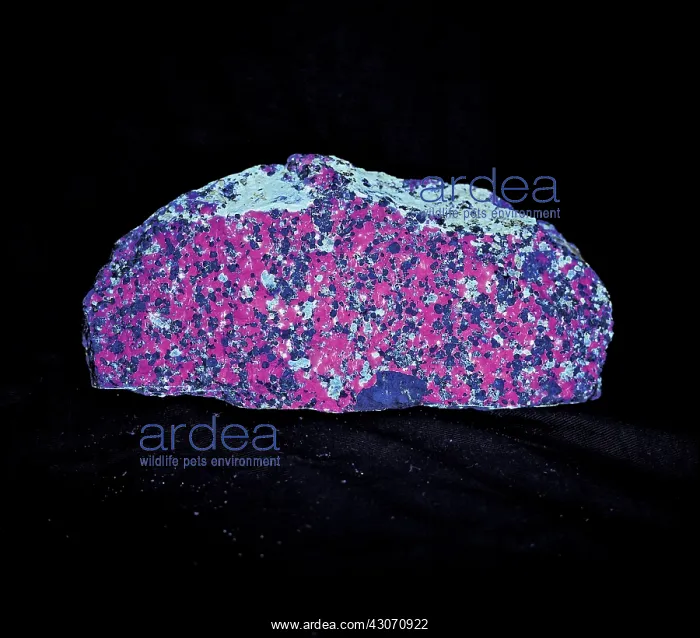 : Rock Under UV Light : Rock Under UV Light