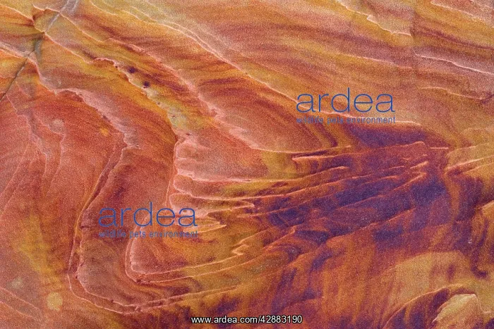 : Detail of a rock wall at the North Coyote Buttes : Detail of a rock wall at the North Coyote Buttes