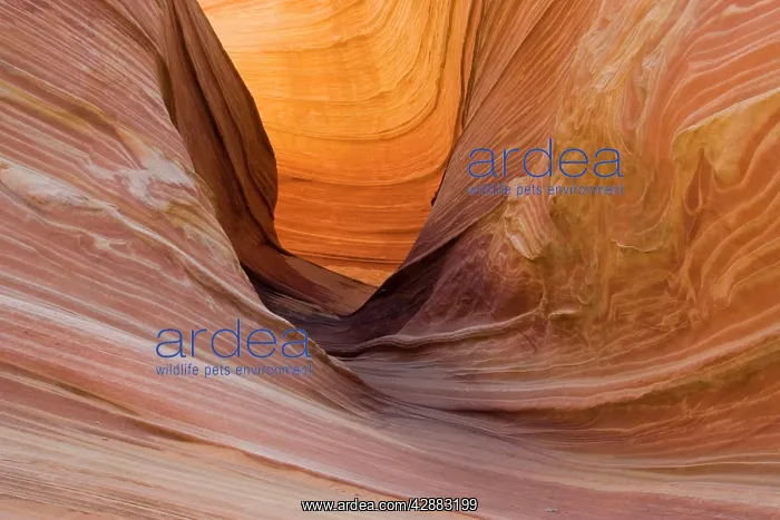 : Rock wall at the North Coyote Buttes : Rock wall at the North Coyote Buttes