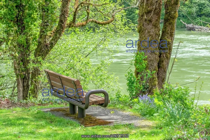  : Rockport, Washington State, USA. Bench overlooking Skagit