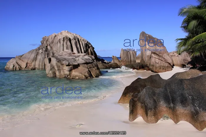 : Rocks on beach at Anse Patates : Rocks on beach at Anse Patates